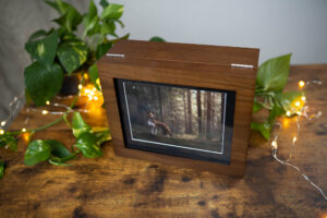 A wooden photo frame with an image of a dog standing in a forest is placed on a wooden surface with green leafy plants and string lights around it.