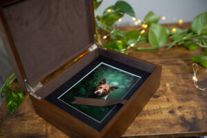 A wooden box with an open lid displays a photograph of a dog. The box is placed on a wooden table, surrounded by small string lights and vine leaves.